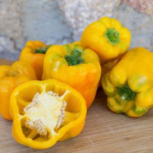 Sarı dev dolma biberi tohumu geleneksel quadrato d'asti giallo