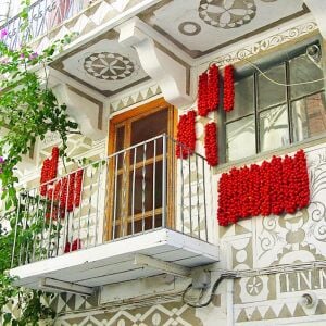 Geleneksel Sakız adası domates tohumu chios tomato