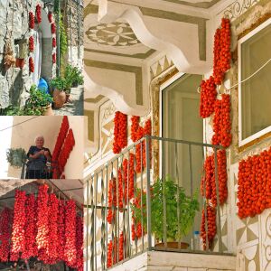 Geleneksel Sakız adası domates tohumu chios tomato