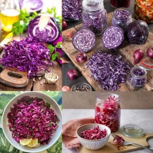 Red acre kırmızı lahana tohumu atalık