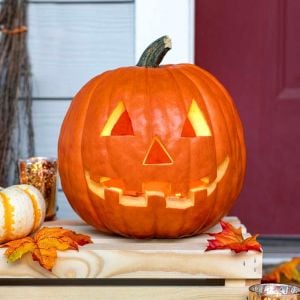 Jack o' lantern fener kabağı tohumu