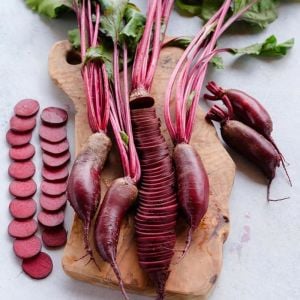 Kırmızı silindir pancar tohumu geleneksel beet cylindra beta vulgaris