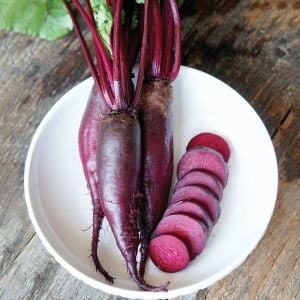 Kırmızı silindir pancar tohumu geleneksel beet cylindra beta vulgaris