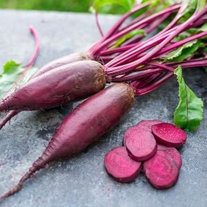 Kırmızı silindir pancar tohumu geleneksel beet cylindra beta vulgaris