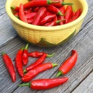 Onza acı biber tohumu capsicum annuum