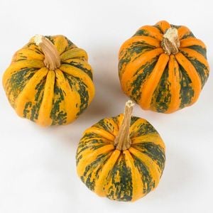 Kamo Kamo yazlık kışlık kabak tohumu squash