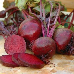 Yakut kırmızı pancar tohumu geleneksel beet ruby queen beta vulgaris