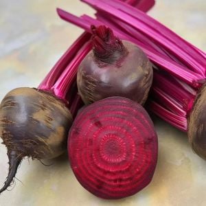 Yakut kırmızı pancar tohumu geleneksel beet ruby queen beta vulgaris