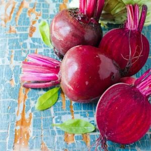 Yakut kırmızı pancar tohumu geleneksel beet ruby queen beta vulgaris