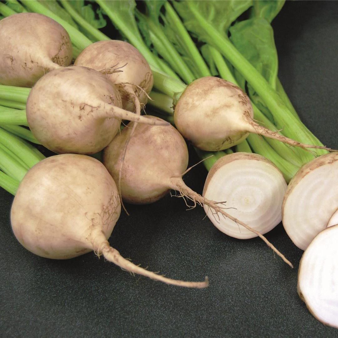 Beyaz pancar tohumu geleneksel beet white albino beta vulgaris