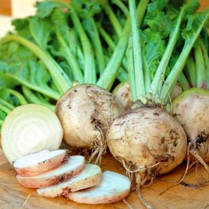 Beyaz pancar tohumu geleneksel beet white albino beta vulgaris