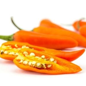 Turuncu biber tohumu tangerine dream capsicum annuum