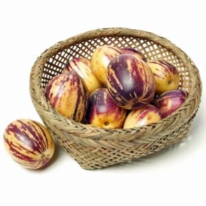 Pepino fidesi Copa çeşidi solanum muricatum