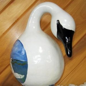 Kuğu sukabağı tohumu swan gourd seeds