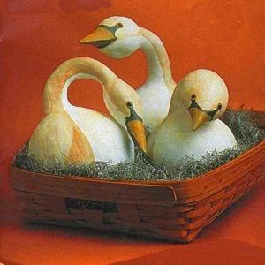 Kuğu sukabağı tohumu swan gourd seeds