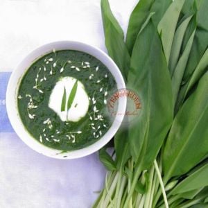 Yabani sarımsak tohumu ayı sarmısağı ramsons wild garlic