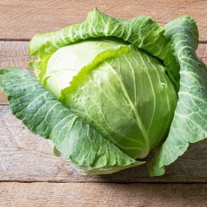 Kopenhag erkenci lahana tohumu atalık