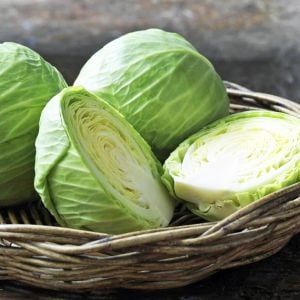 Kopenhag erkenci lahana tohumu atalık