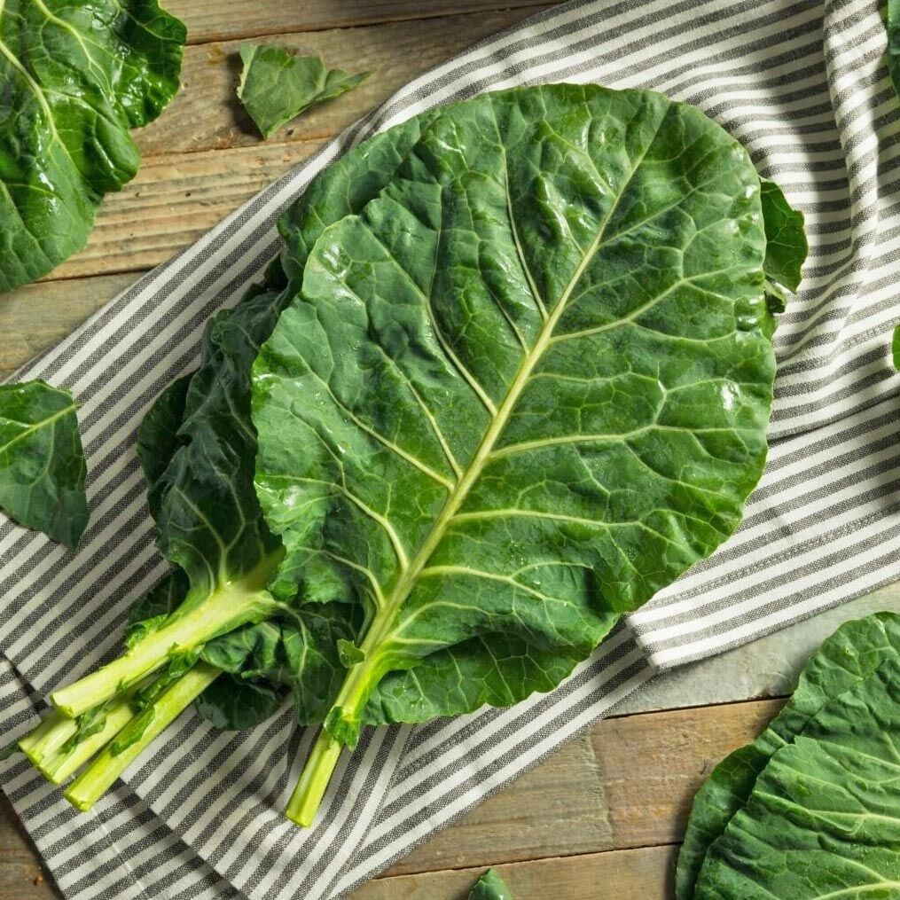Erkenci karalahana tohumu collard green champion
