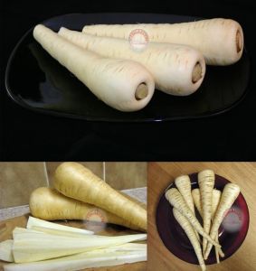 Parsnip all American Yaban havucu tohumu Atalık