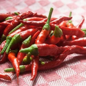 Lingua Di Fucco chili biberi tohumu