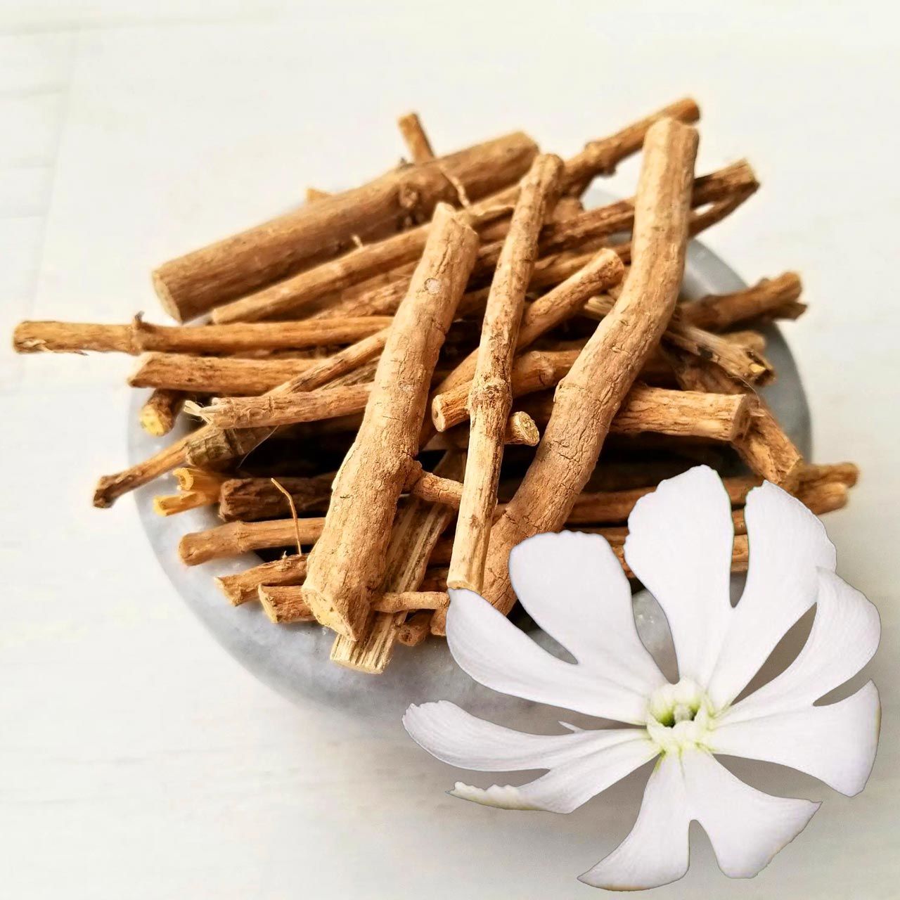 Silene Capensis Afrika Rüya otu tohumu