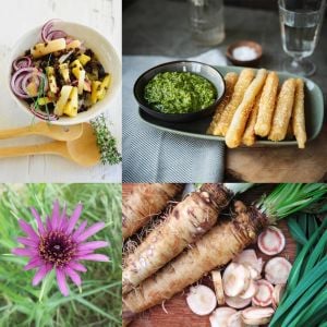 Salsify tohumu yemlikotu