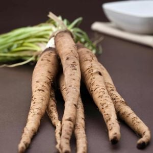 Salsify tohumu yemlikotu