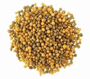 Akıllı gübre osmocote exact 8-9 aylık 15-9-12-2MgO+TE 350 gram