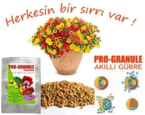 Akıllı gübre osmocote exact 8-9 aylık 15-9-12-2MgO+TE 350 gram