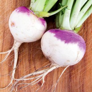 Mor rutabaga tohumu atalık rutabaga purple top