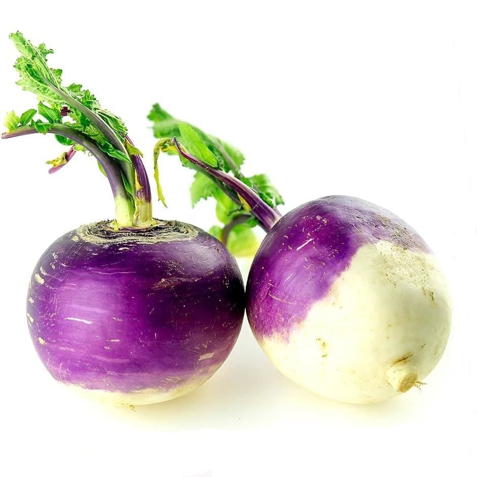 Mor rutabaga tohumu atalık rutabaga purple top