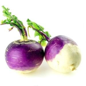 Mor rutabaga tohumu atalık rutabaga purple top