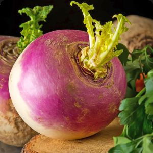 Mor rutabaga tohumu atalık rutabaga purple top