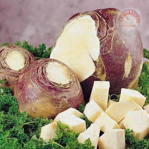 İsveç rutabaga tohumu atalık rutabaga laurentian