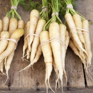 Beyaz havuç tohumu Atalık carrot lunar white