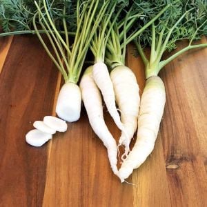 Beyaz havuç tohumu Atalık carrot lunar white