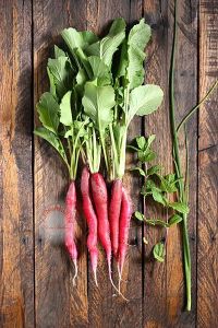 Erkenci kırmızı turp tohumu geleneksel red arrow radish