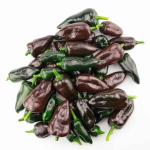 Mulato biber tohumu orta acı geleneksel mulato isleno heirloom pepper seeds