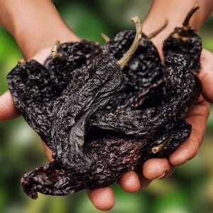 Mulato biber tohumu orta acı geleneksel mulato isleno heirloom pepper seeds