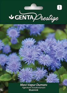 Mavi vapur dumanı tohumu ageratum Genta prestige