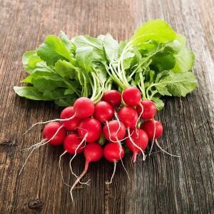 Ekstra erkenci turp tohumu geleneksel scarlet globe radish