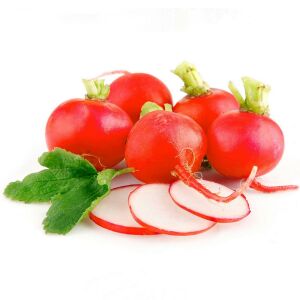 Ekstra erkenci turp tohumu geleneksel scarlet globe radish