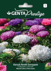 Saray patı tohumu renkli karışım Genta Prestige