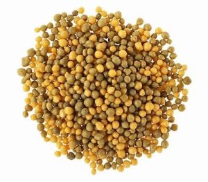 Çiçekli bitkiler için akıllı gübre osmocote bloom 2-3 aylık 350 gram
