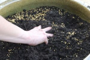 Çiçekli bitkiler için akıllı gübre osmocote bloom 2-3 aylık 350 gram