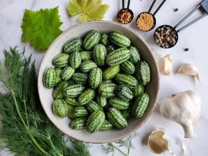 Turşuluk meksika salatalığı gherkin tohumu melothria scabra