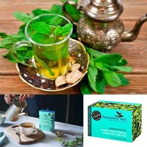 Black Mitcham yağlık nane fidesi mentha piperita
