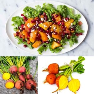 Detroit altın pancar tohumu atalık beet golden