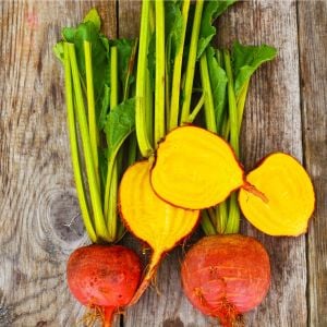 Detroit altın pancar tohumu atalık beet golden